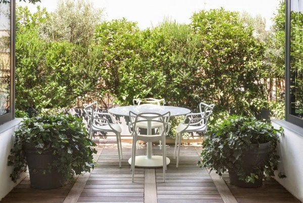 No hay imagen establecida 